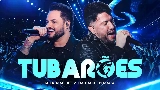 Мініатюра відео Tubarões - Ao Vivo