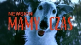 Мініатюра відео MAMY CZAS