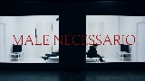 Мініатюра відео MALE NECESSARIO