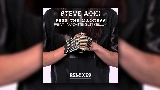 Мініатюра відео Free The Madness - Steve Aoki & Max Styler Remix