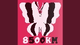 Мініатюра відео 8500km