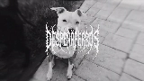 Мініатюра відео MARTINETE