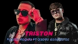 Мініатюра відео triston