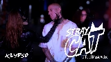 Мініатюра відео Stray Cat