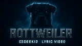 Мініатюра відео Rottweiler