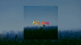 Мініатюра відео Hit Em