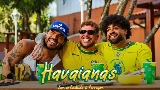 Мініатюра відео Havaianas