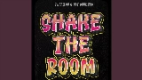 Мініатюра відео Shake The Room