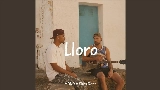 Мініатюра відео Lloro