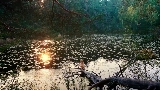 Мініатюра відео Mother's Love Conquers All