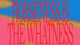 Мініатюра відео Horseness Is The Whatness