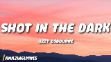Мініатюра відео Shot in the Dark