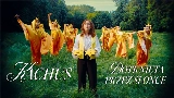 Мініатюра відео Dotknięta przez słońce