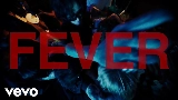 Мініатюра відео FEVER
