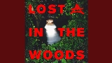 Мініатюра відео Lost In The Woods