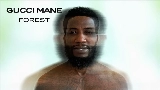 Мініатюра відео Forest