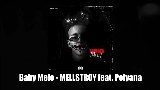 Мініатюра відео MELLSTROY