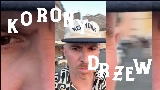 Мініатюра відео Korony drzew