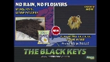 Мініатюра відео No Rain, No Flowers