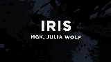 Мініатюра відео iris