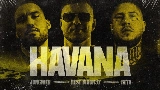 Мініатюра відео Havana