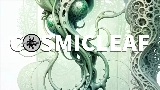 Мініатюра відео World of fungi