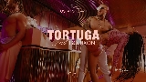 Мініатюра відео Tortuga
