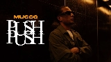 Мініатюра відео PUSH PUSH