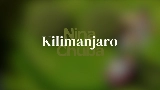 Мініатюра відео Kilimanjaro