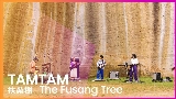 Мініатюра відео 扶桑樹 - The Fusang Tree