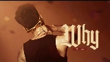 Мініатюра відео WHY