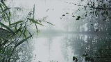 Мініатюра відео reverie