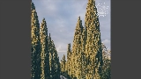 Мініатюра відео Vinho Verde