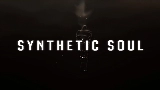 Мініатюра відео Synthetic Soul